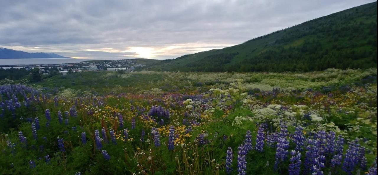 B&B Rooms Husavik 3 Zewnętrze zdjęcie