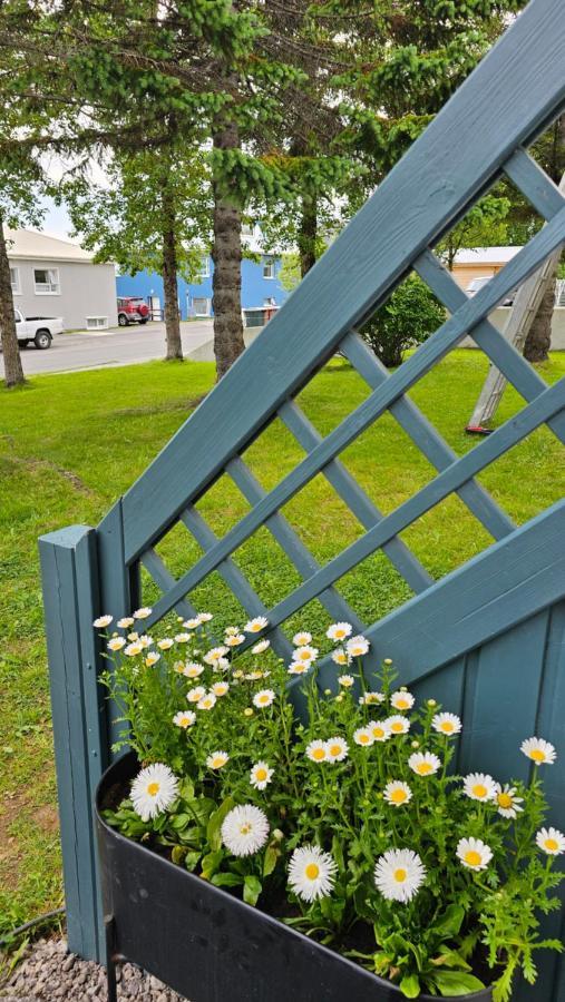 B&B Rooms Husavik 3 Zewnętrze zdjęcie
